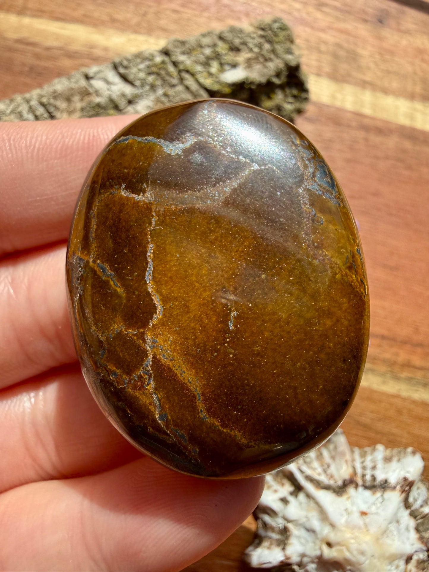 TIGER IRON PALM STONE