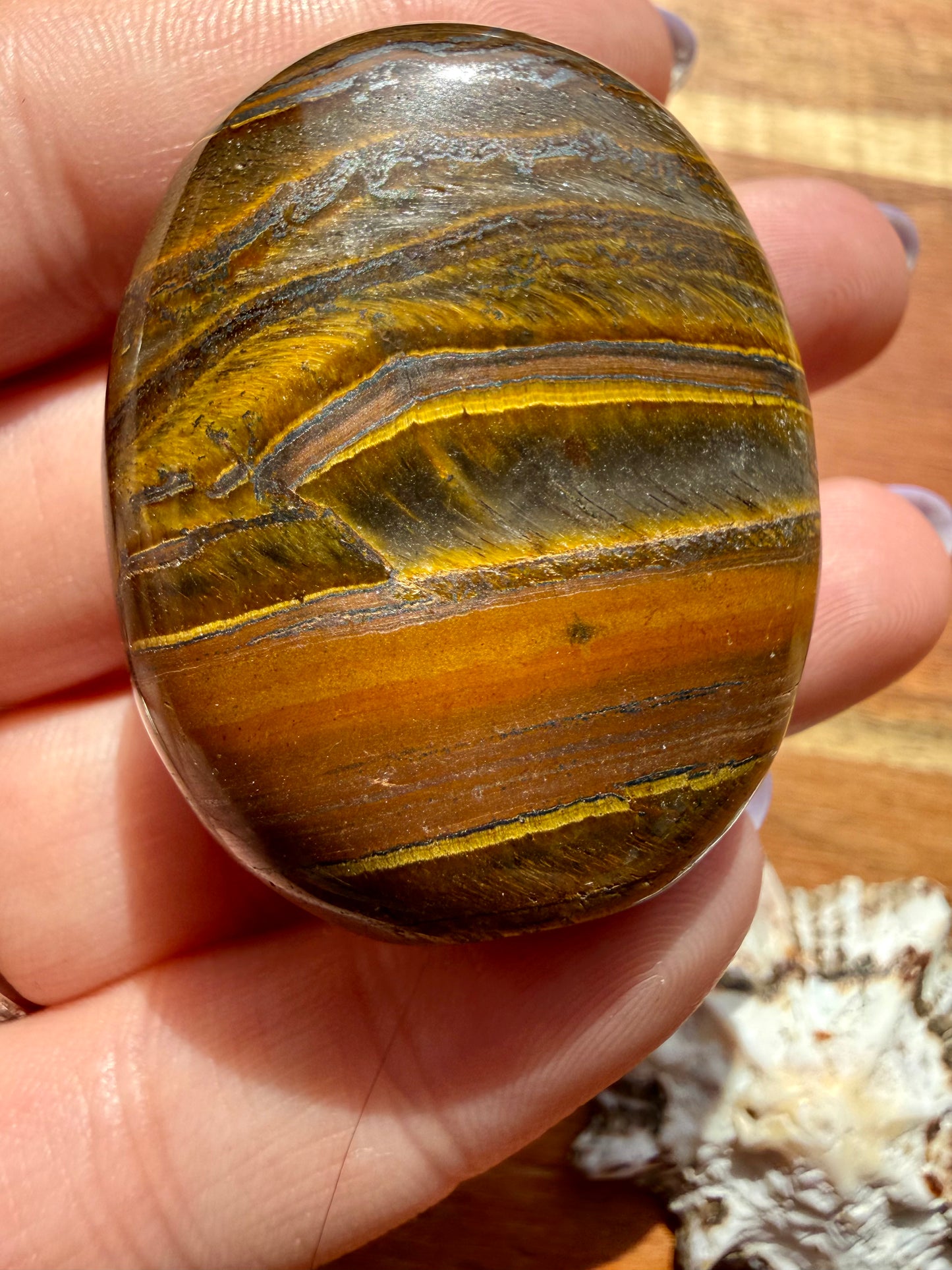 TIGER IRON PALM STONE