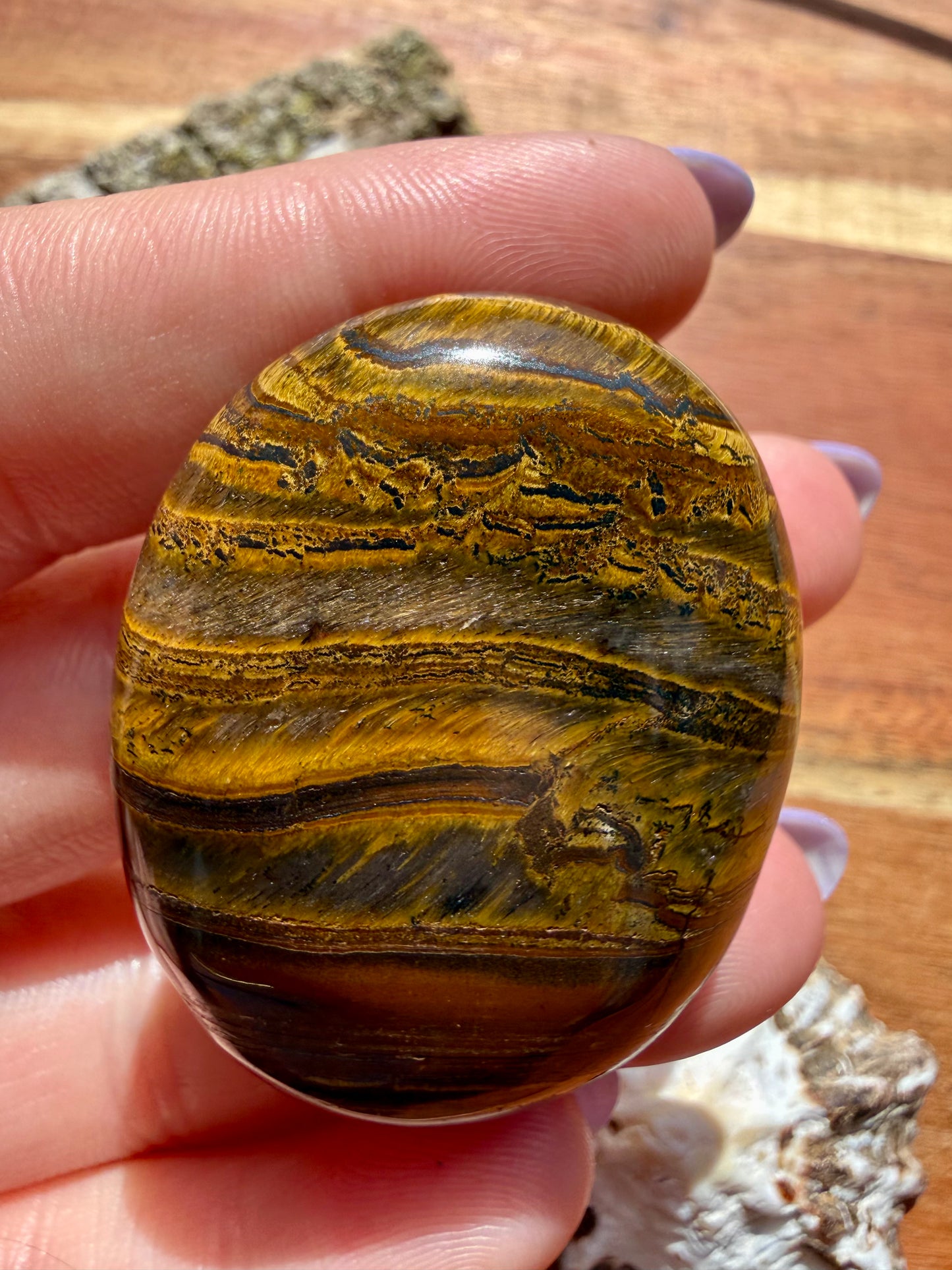 TIGER IRON PALM STONE