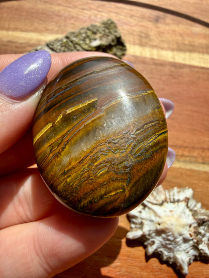 TIGER IRON PALM STONE