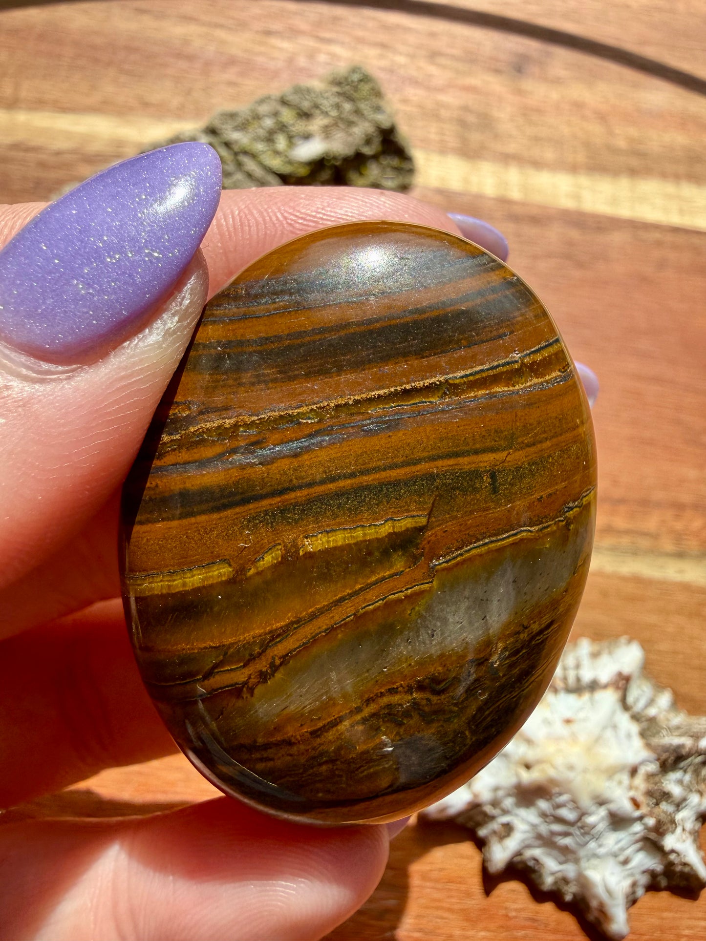 TIGER IRON PALM STONE