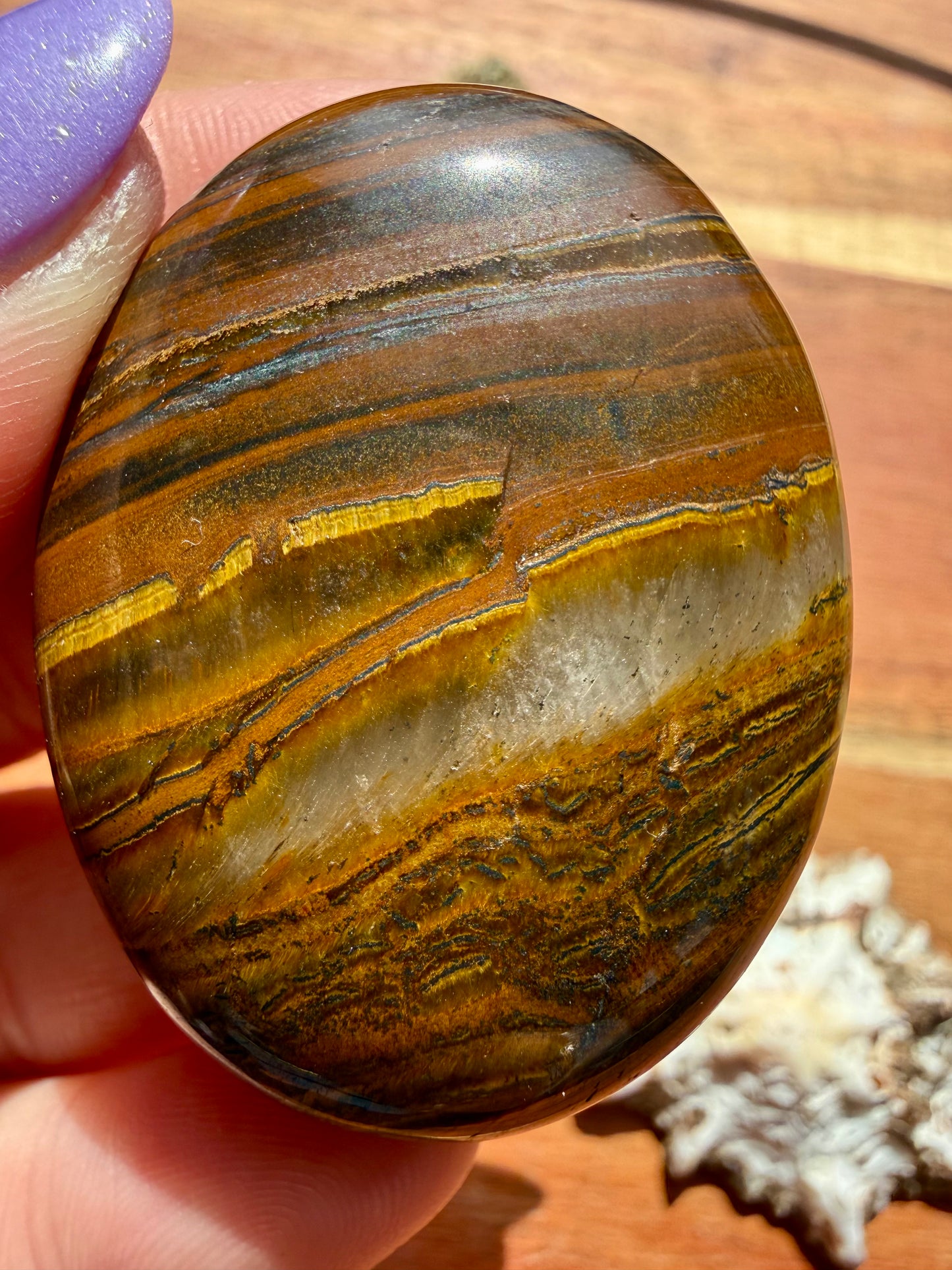 TIGER IRON PALM STONE
