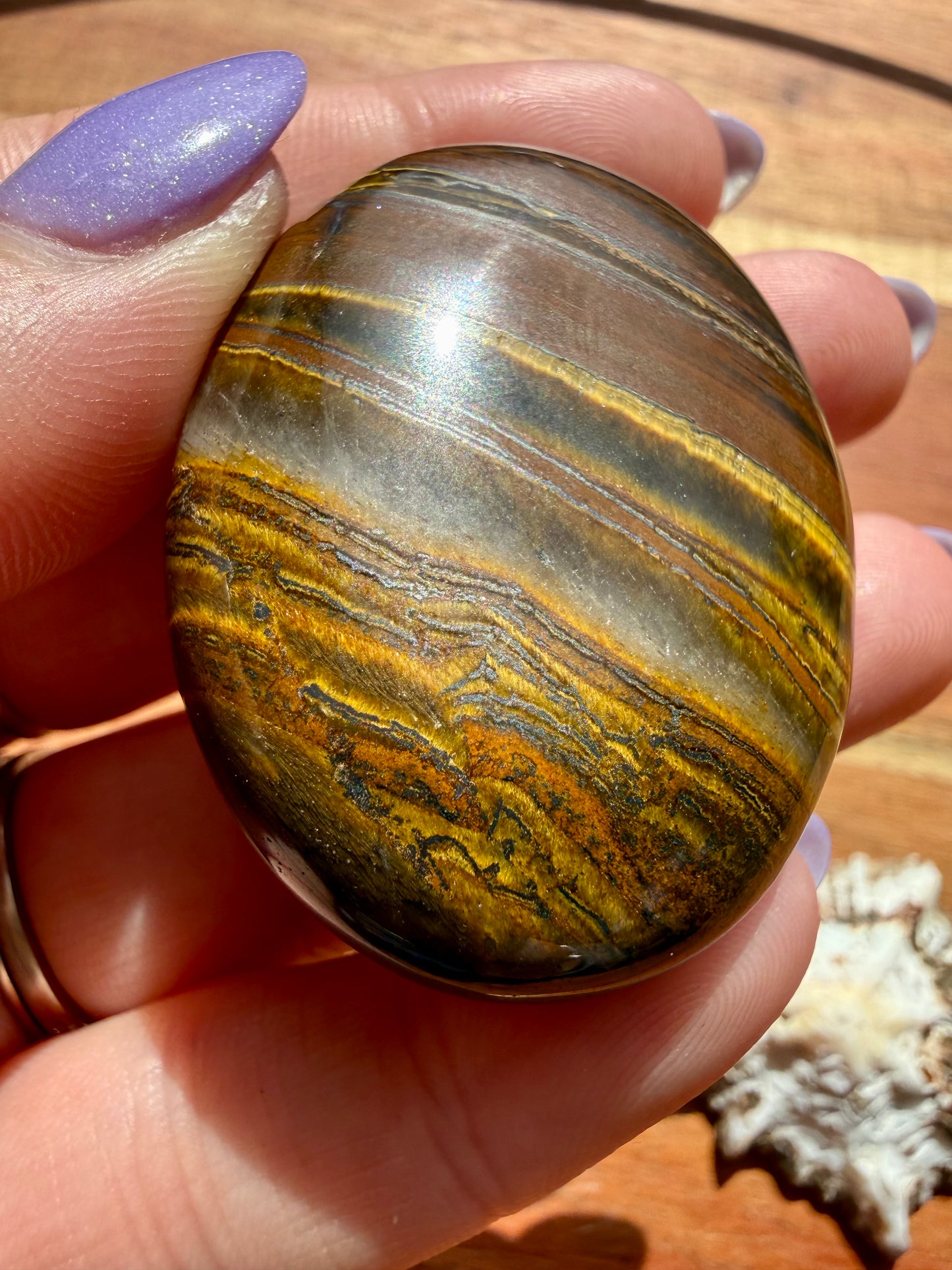 TIGER IRON PALM STONE