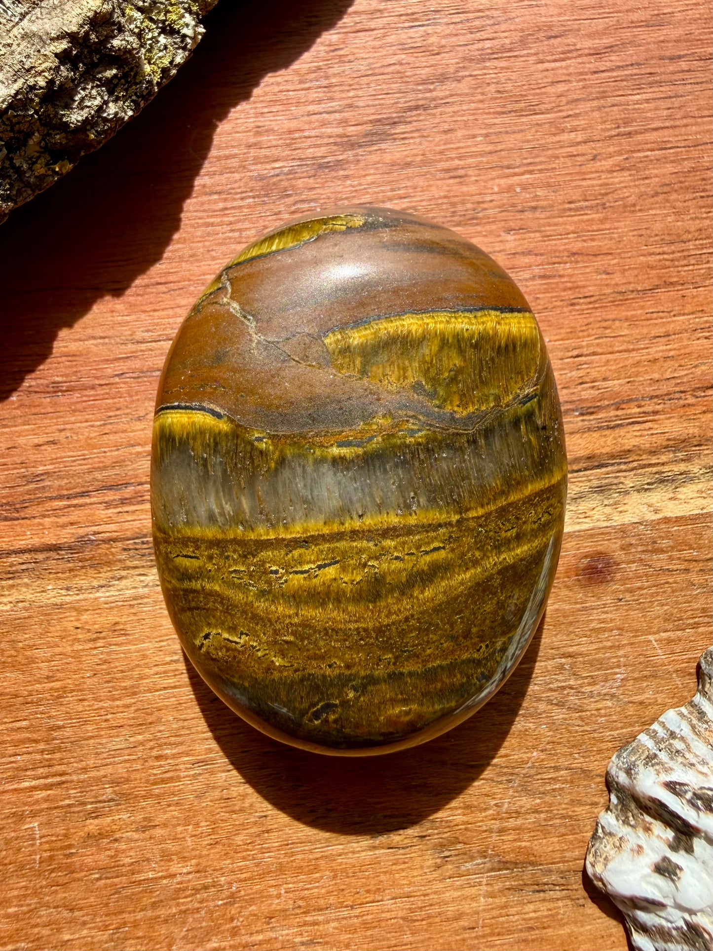 TIGER IRON PALM STONE