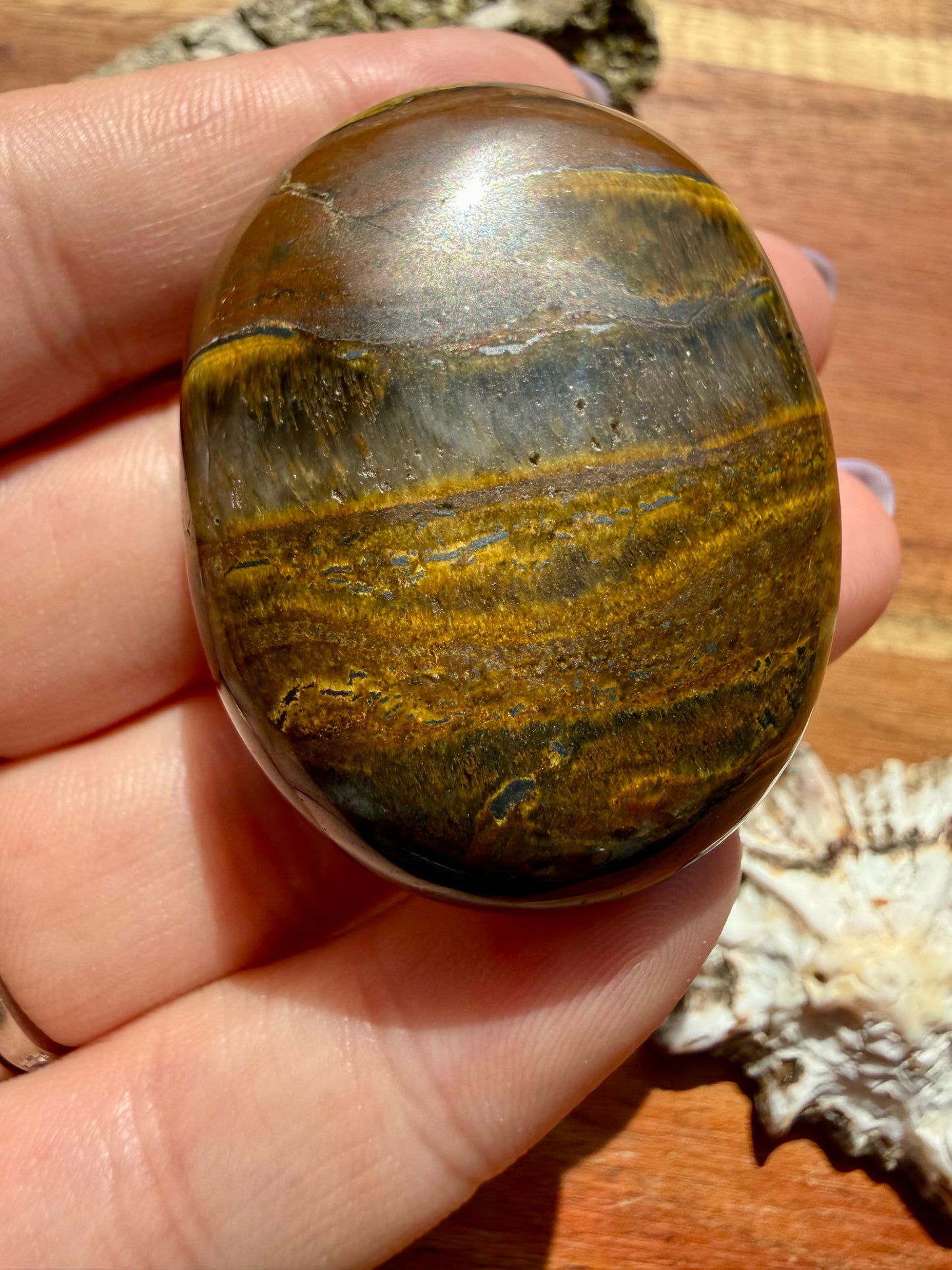 TIGER IRON PALM STONE