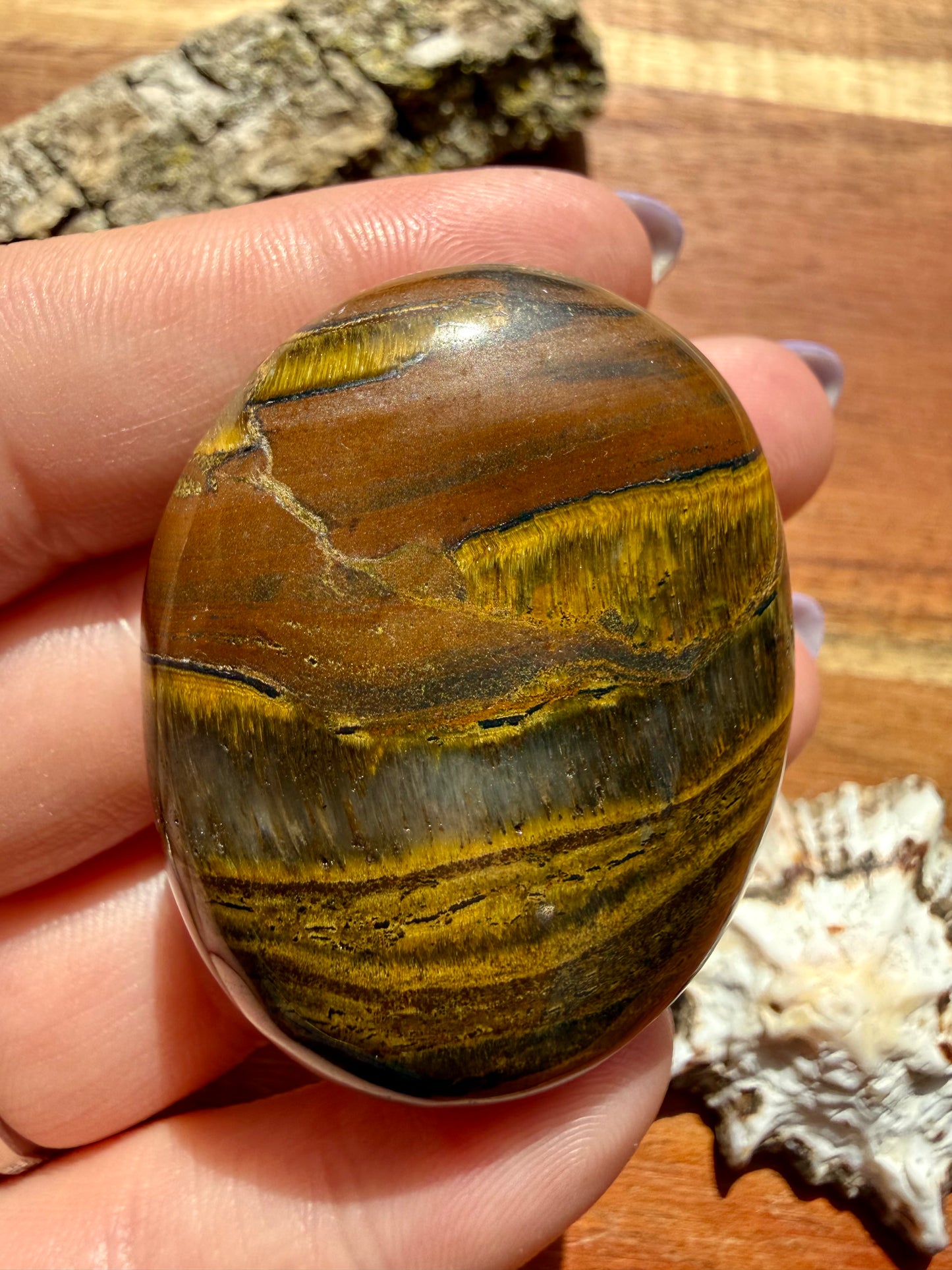 TIGER IRON PALM STONE