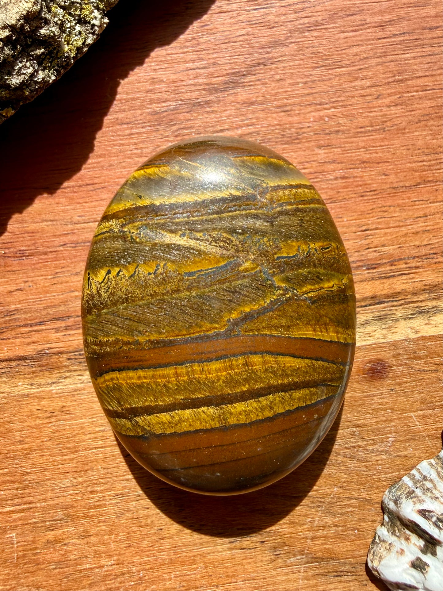 TIGER IRON PALM STONE
