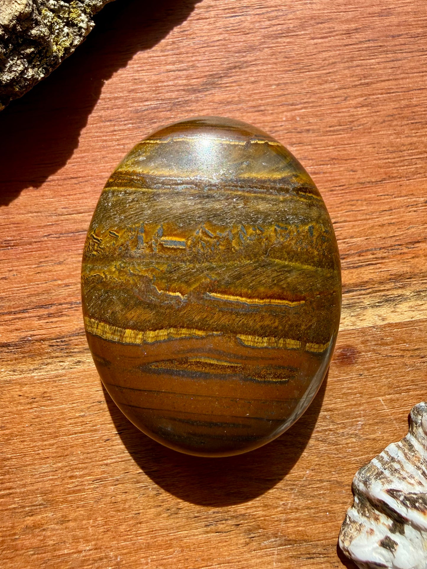 TIGER IRON PALM STONE