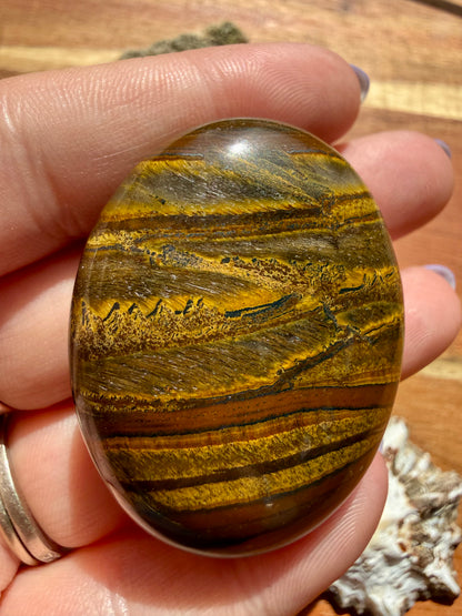 TIGER IRON PALM STONE