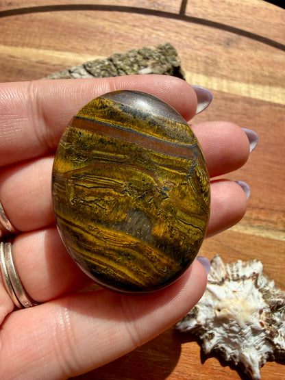TIGER IRON PALM STONE