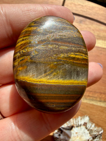 TIGER IRON PALM STONE