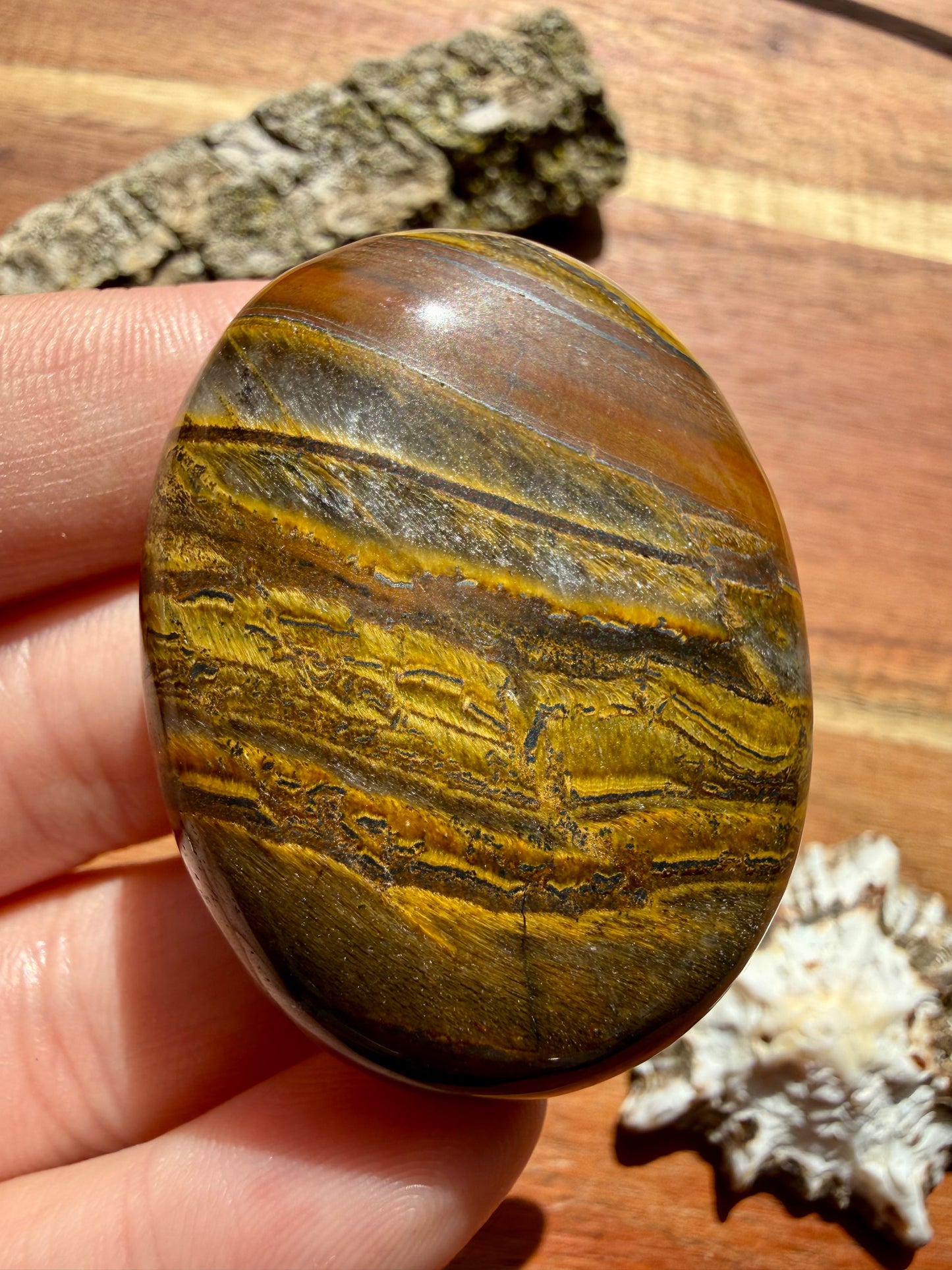 TIGER IRON PALM STONE
