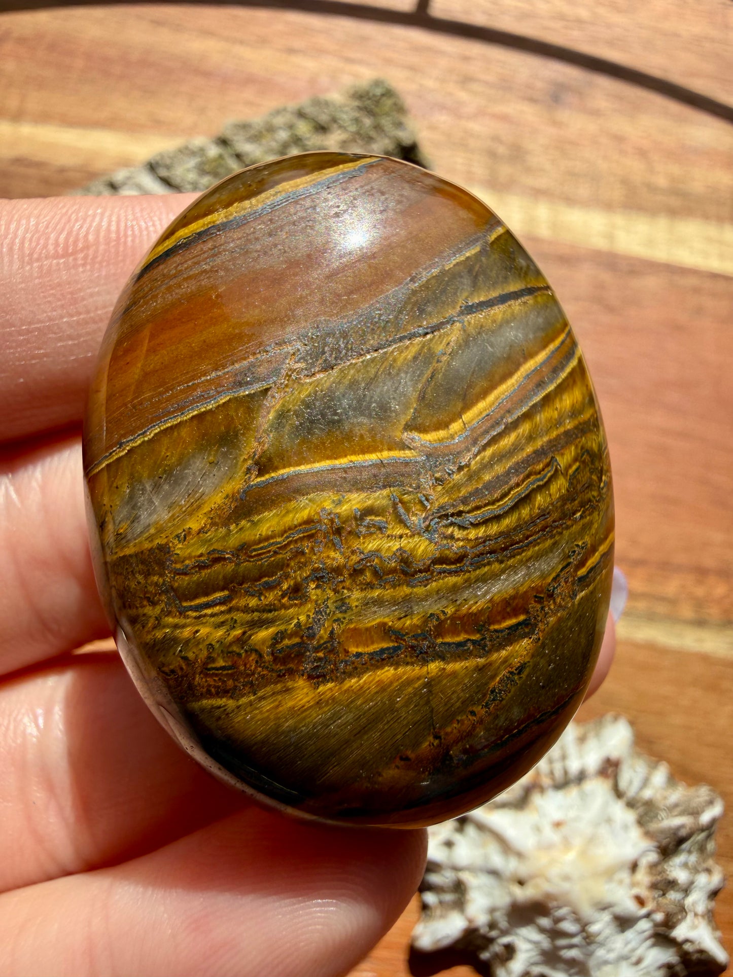 TIGER IRON PALM STONE