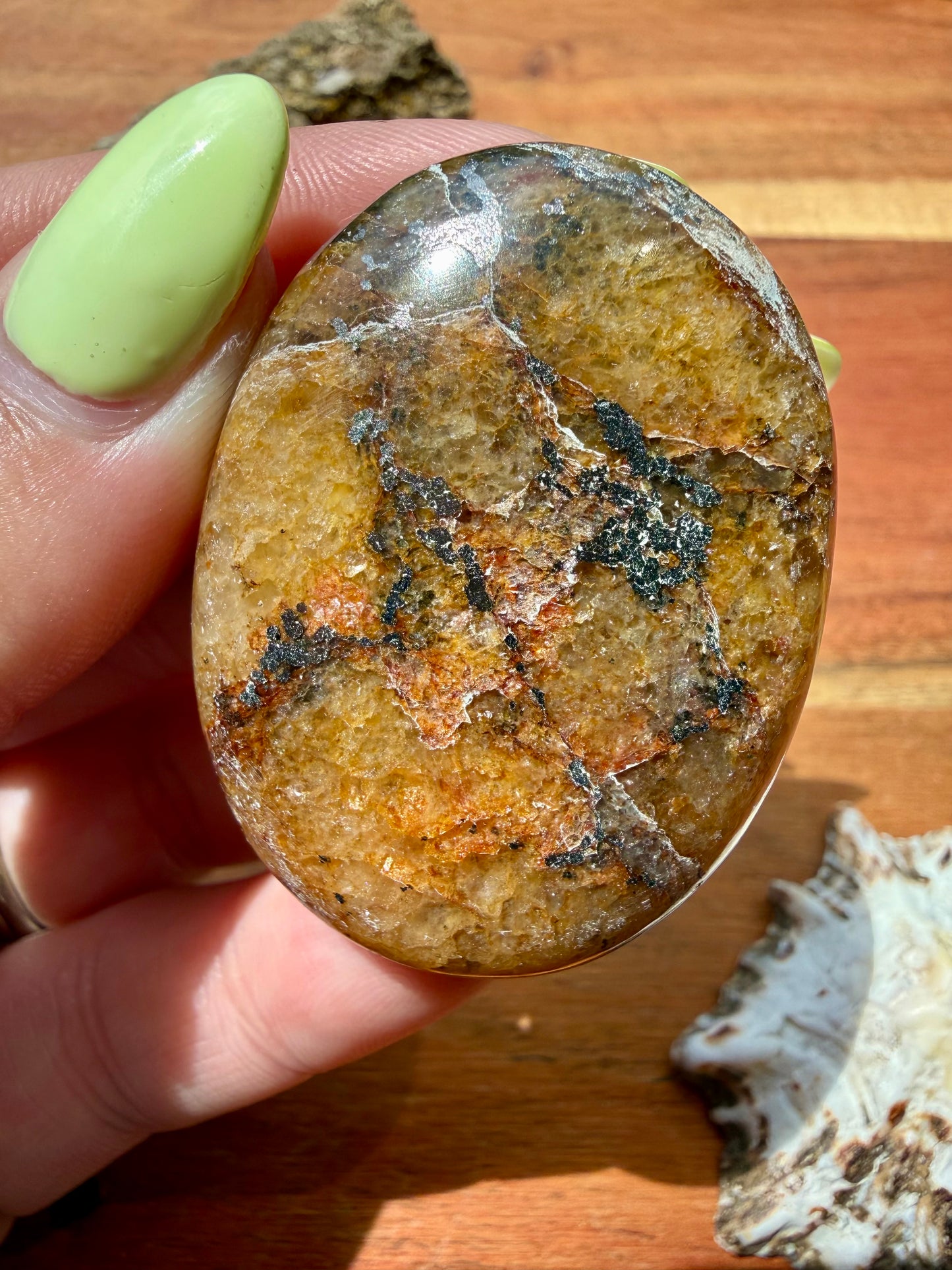 PYRITE + GOLDEN HEALER PALM STONE