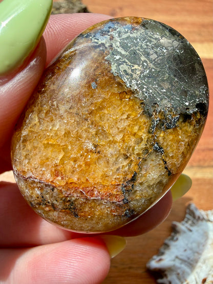 PYRITE + GOLDEN HEALER PALM STONE
