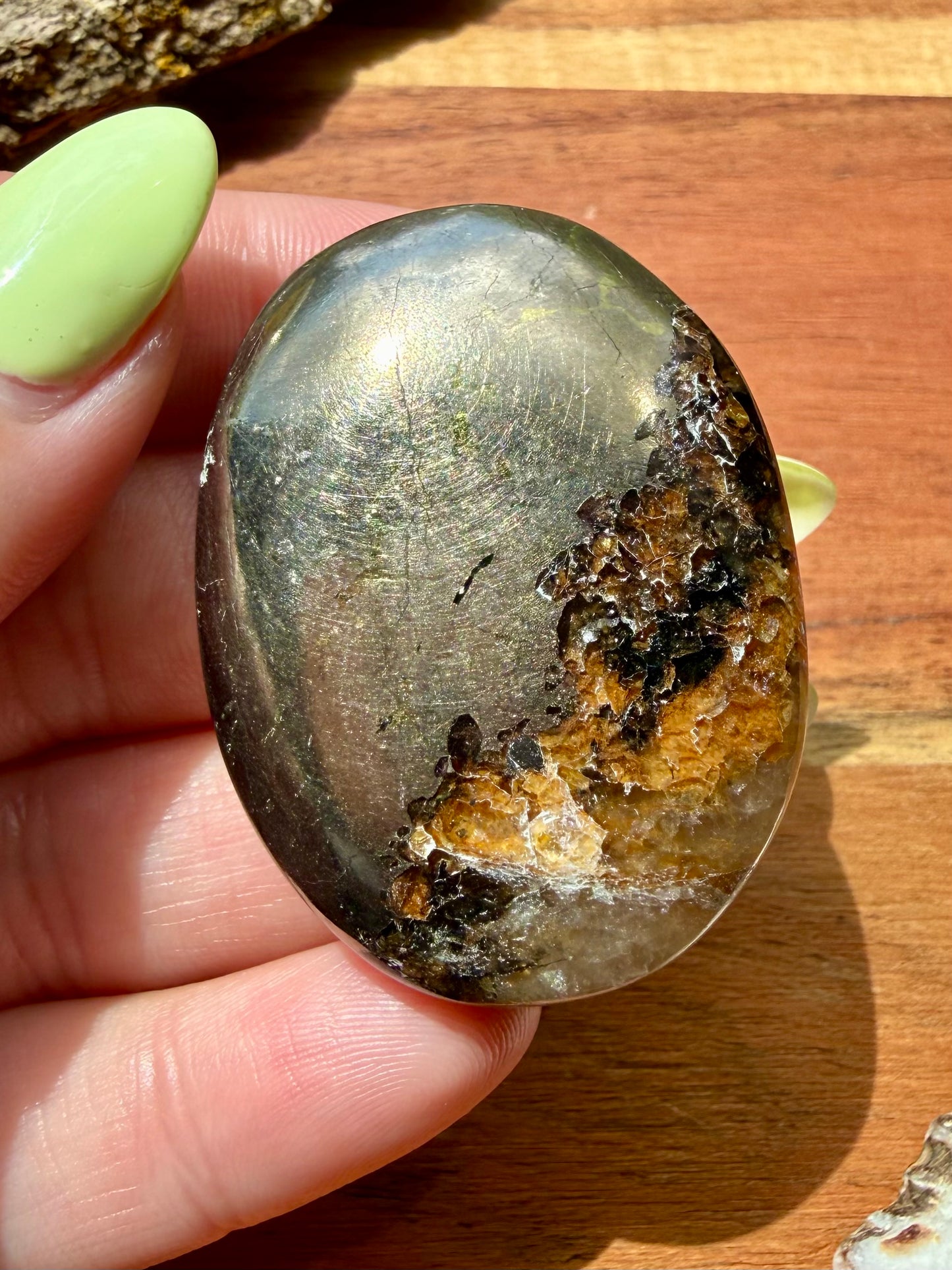 PYRITE + GOLDEN HEALER PALM STONE