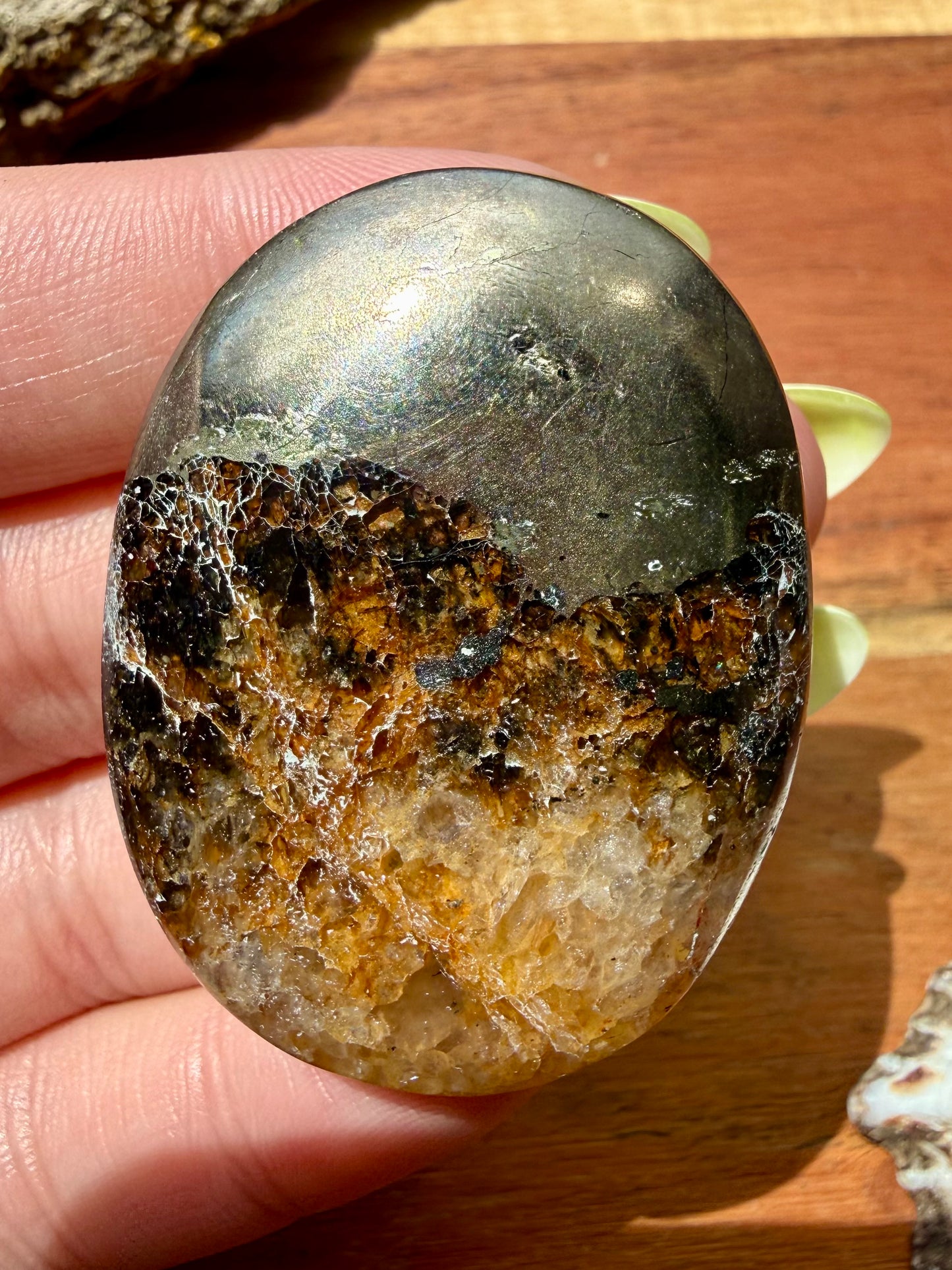 PYRITE + GOLDEN HEALER PALM STONE
