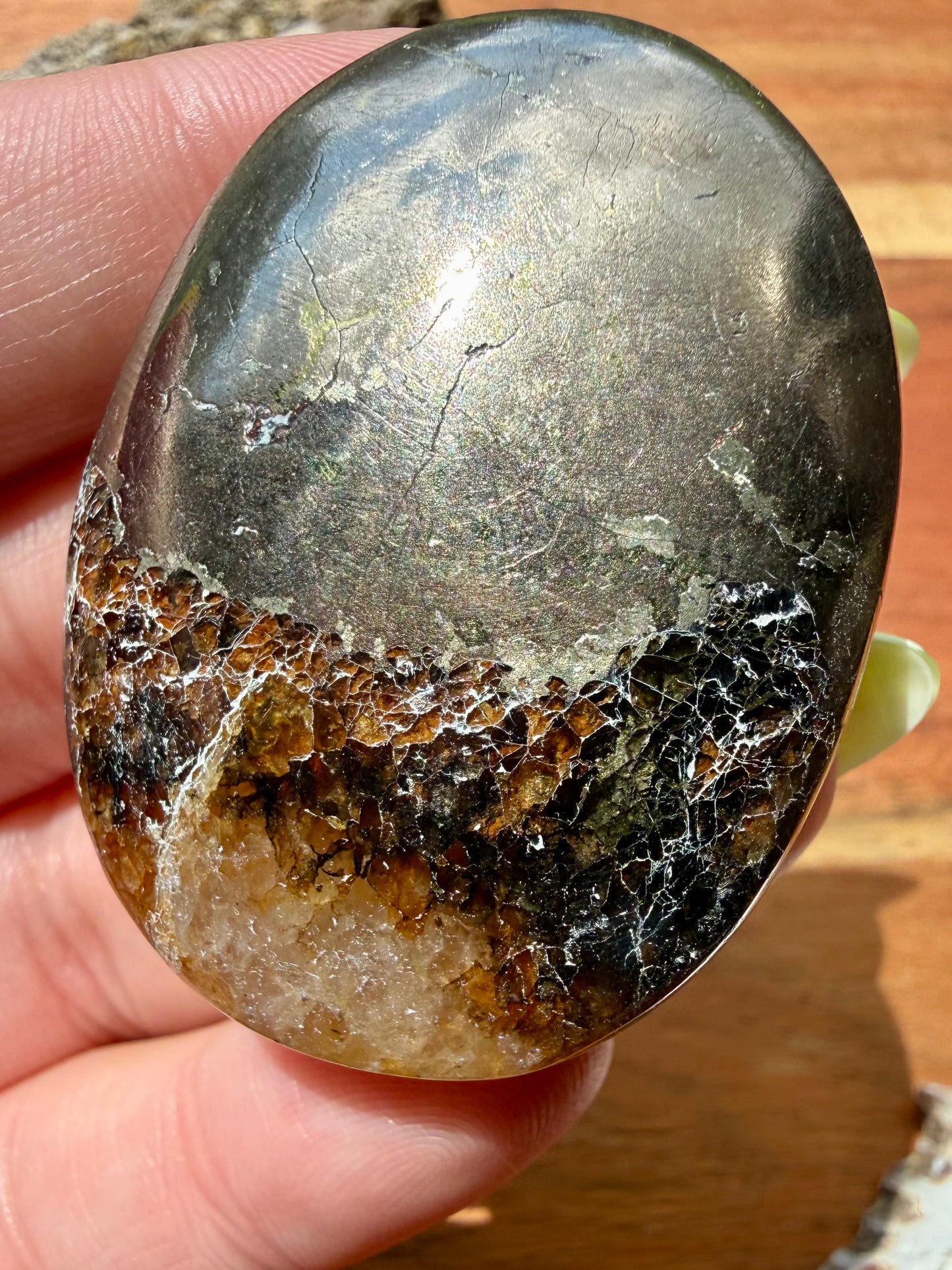 PYRITE + GOLDEN HEALER PALM STONE