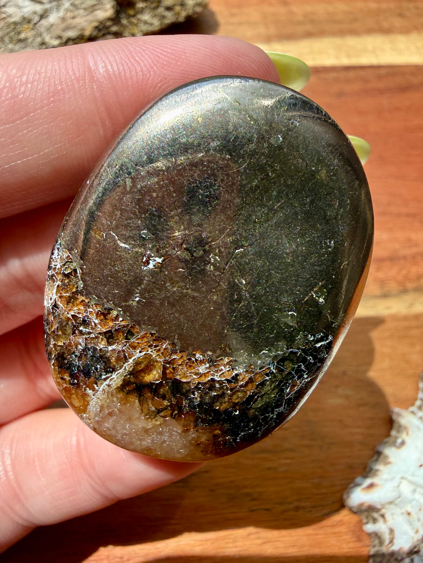 PYRITE + GOLDEN HEALER PALM STONE