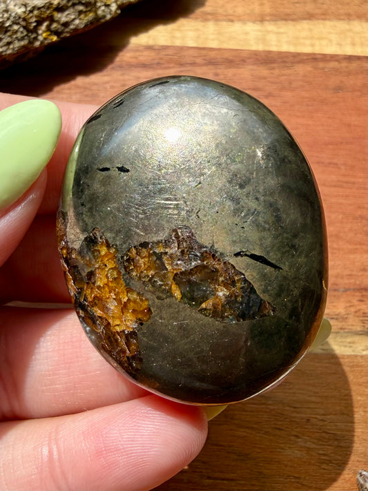 PYRITE + GOLDEN HEALER PALM STONE