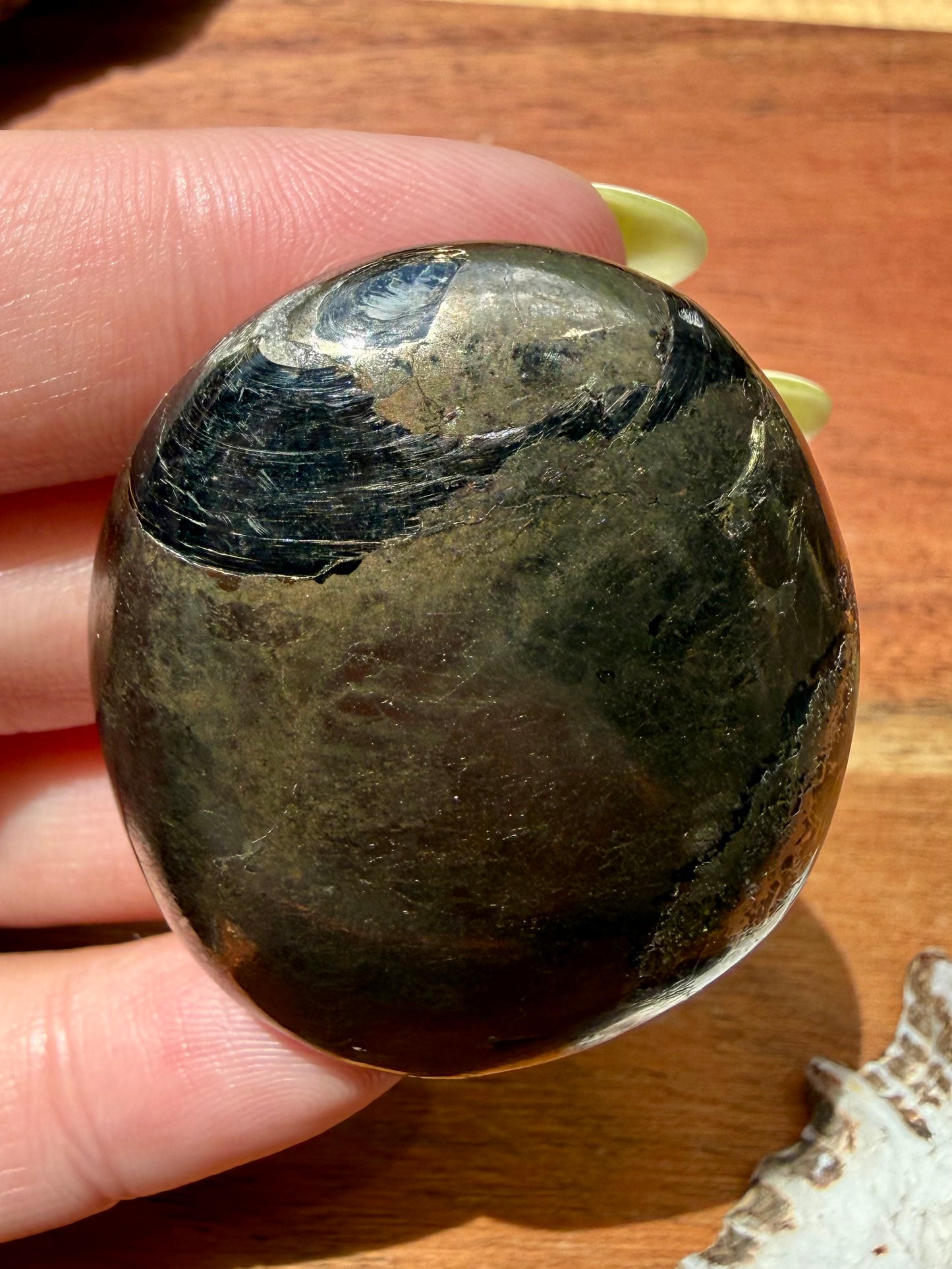 PYRITE + GOLDEN HEALER PALM STONE