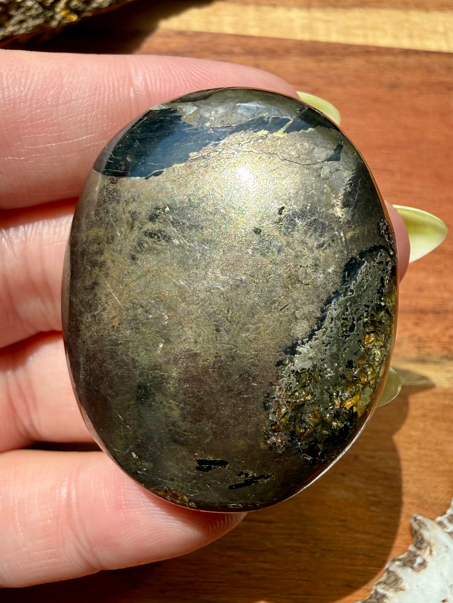 PYRITE + GOLDEN HEALER PALM STONE