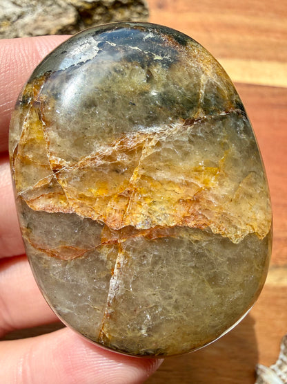 PYRITE + GOLDEN HEALER PALM STONE
