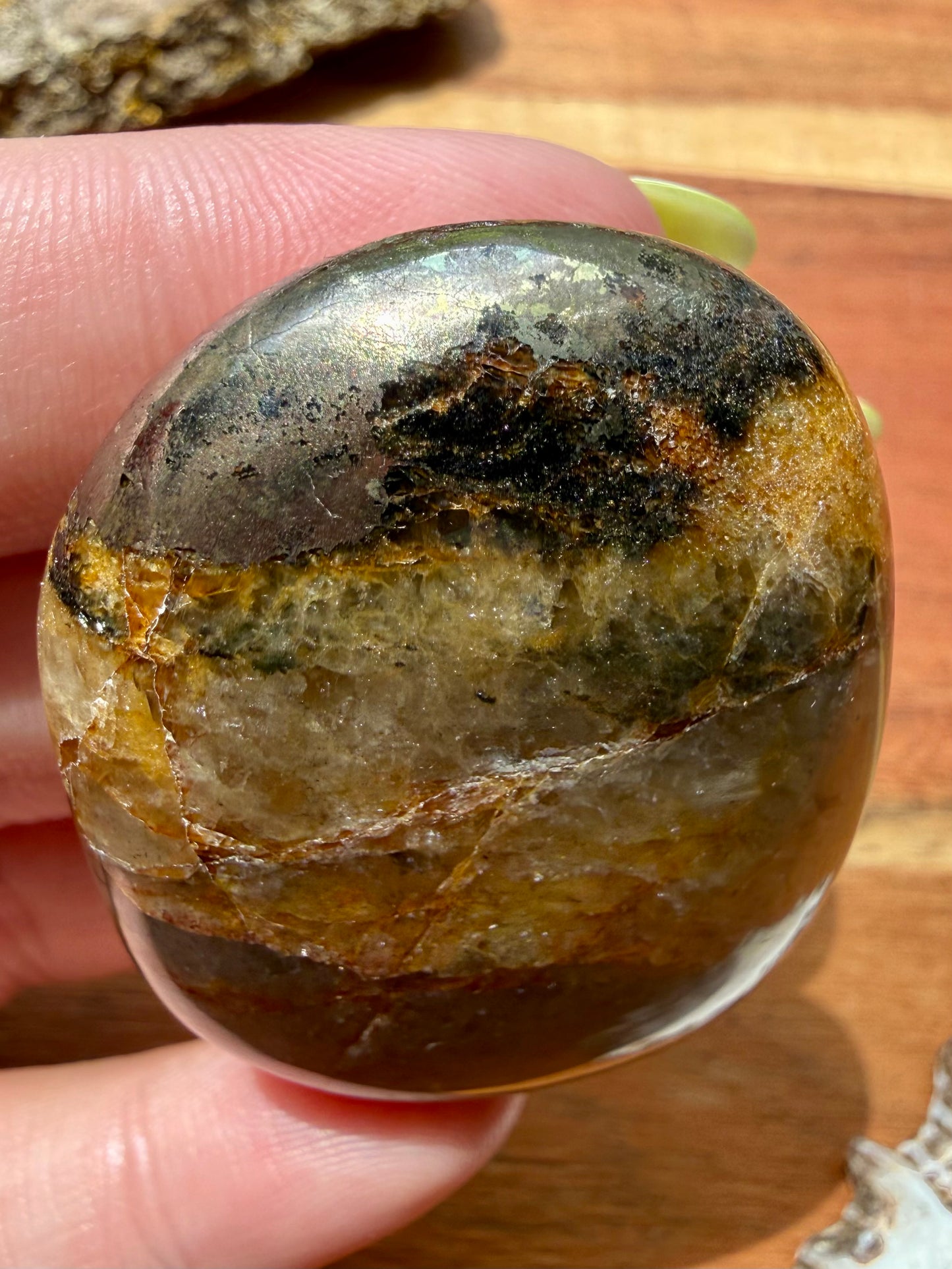 PYRITE + GOLDEN HEALER PALM STONE