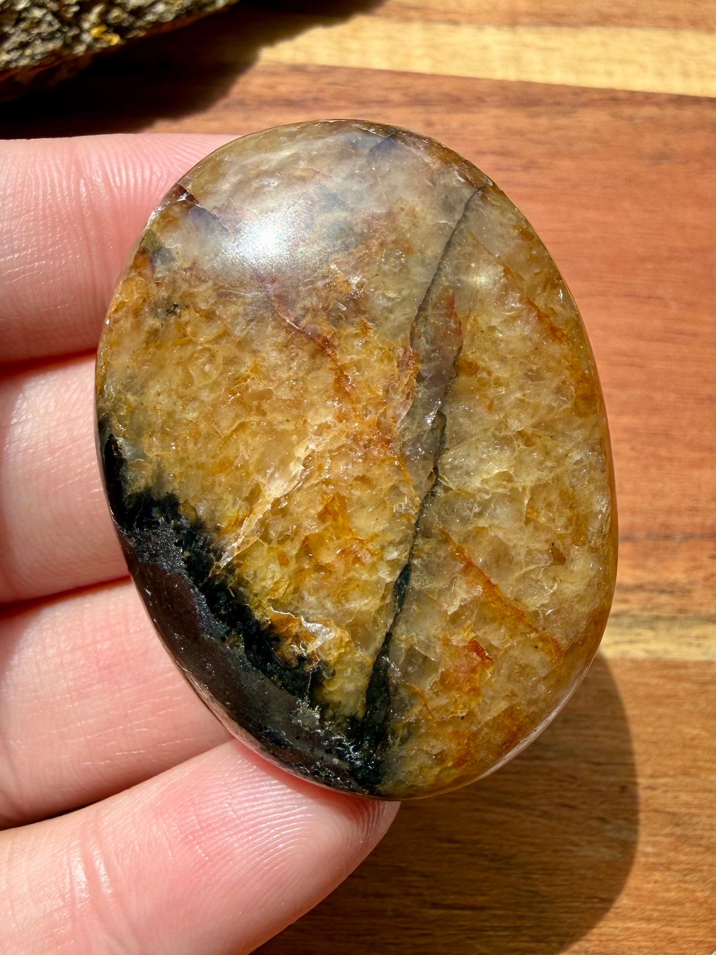 PYRITE + GOLDEN HEALER PALM STONE