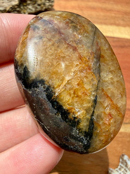 PYRITE + GOLDEN HEALER PALM STONE