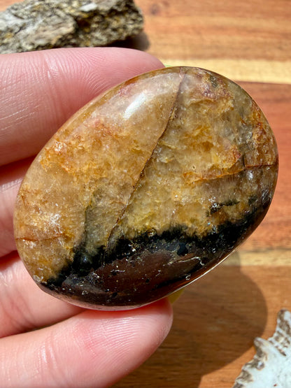 PYRITE + GOLDEN HEALER PALM STONE