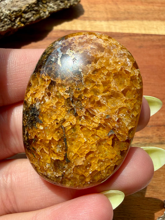 PYRITE + GOLDEN HEALER PALM STONE