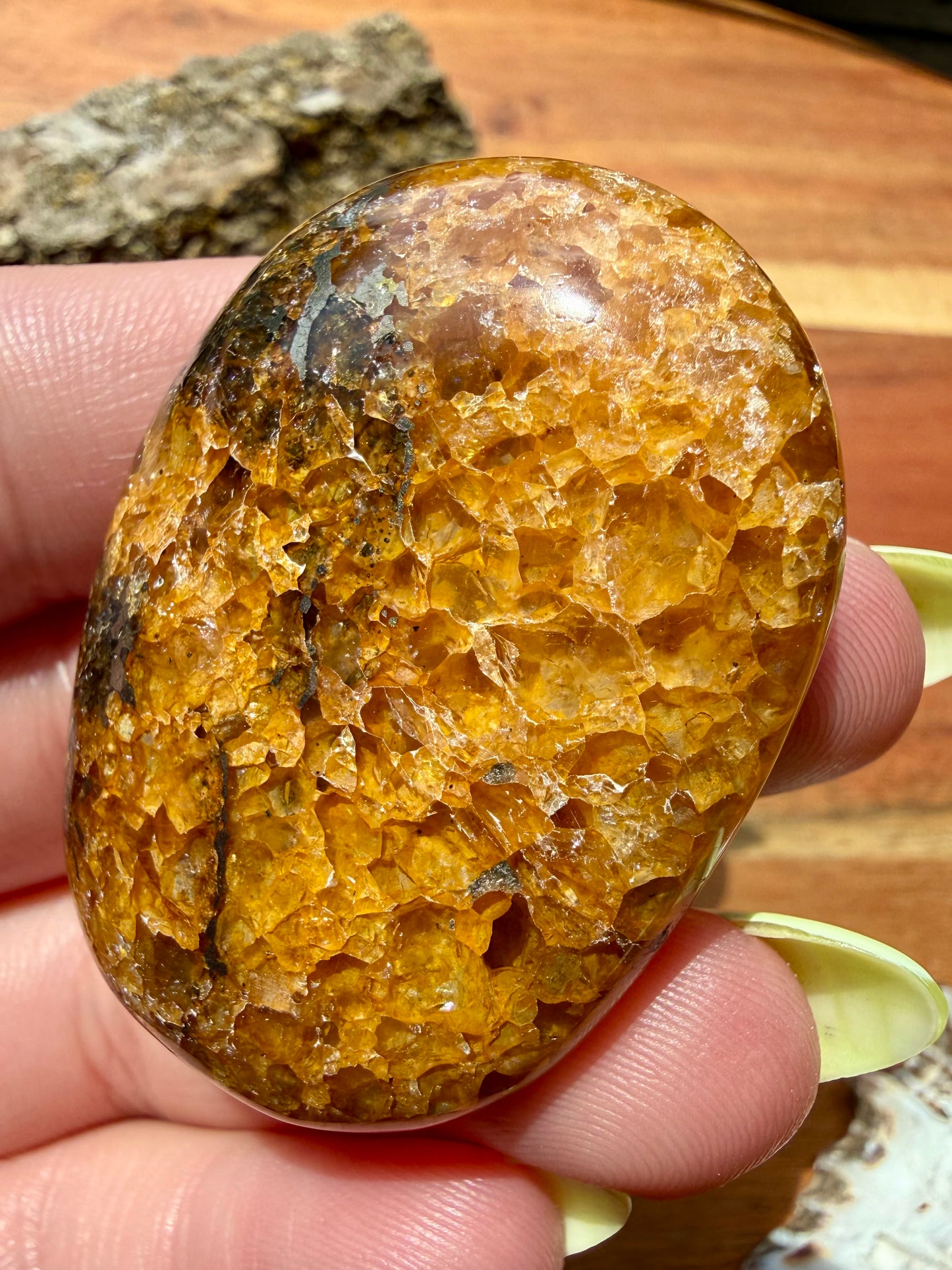 PYRITE + GOLDEN HEALER PALM STONE