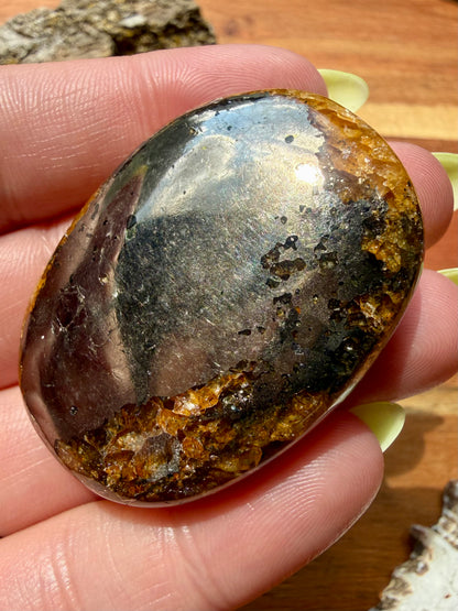 PYRITE + GOLDEN HEALER PALM STONE
