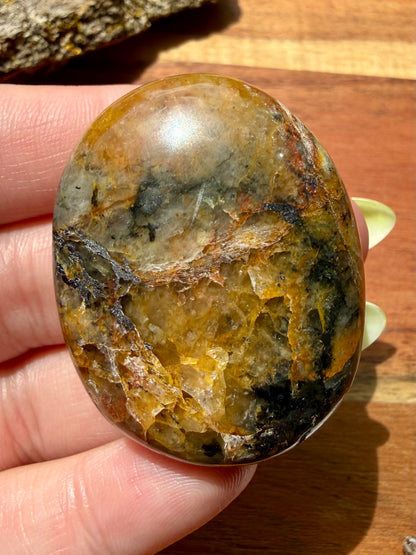 PYRITE + GOLDEN HEALER PALM STONE