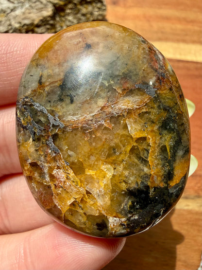 PYRITE + GOLDEN HEALER PALM STONE