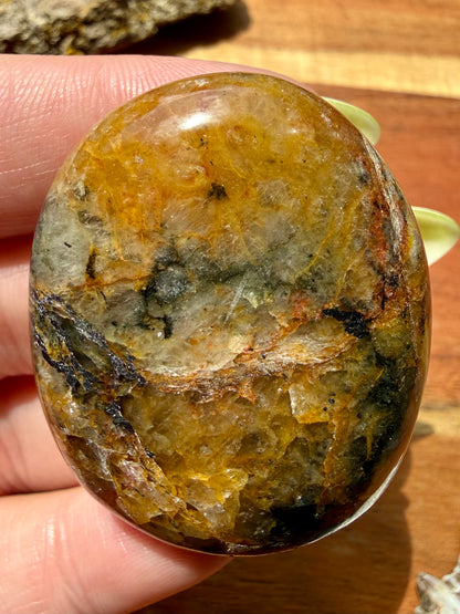 PYRITE + GOLDEN HEALER PALM STONE