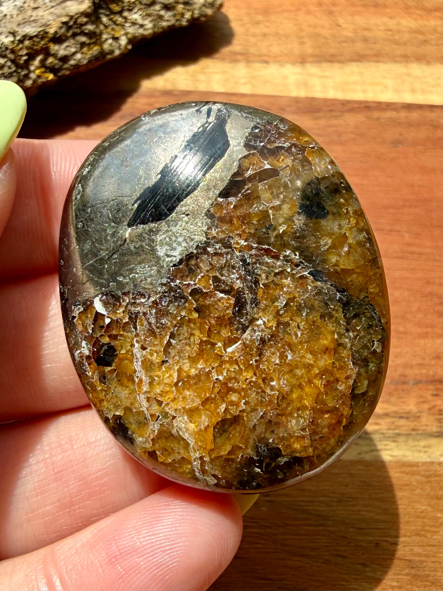 PYRITE + GOLDEN HEALER PALM STONE