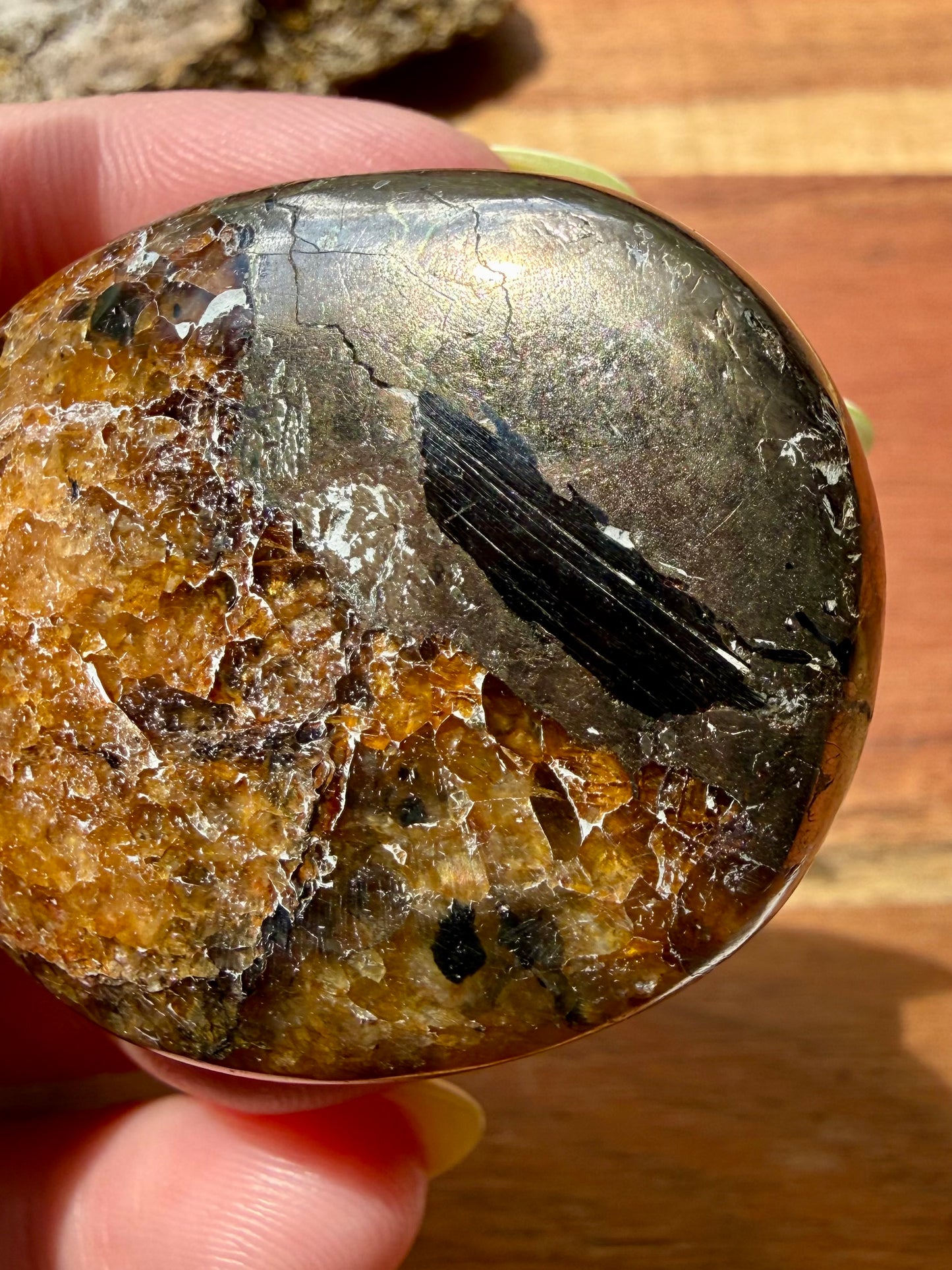 PYRITE + GOLDEN HEALER PALM STONE