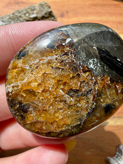PYRITE + GOLDEN HEALER PALM STONE