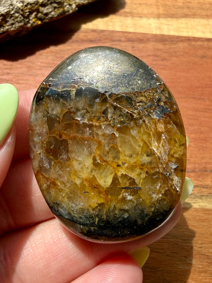 PYRITE + GOLDEN HEALER PALM STONE