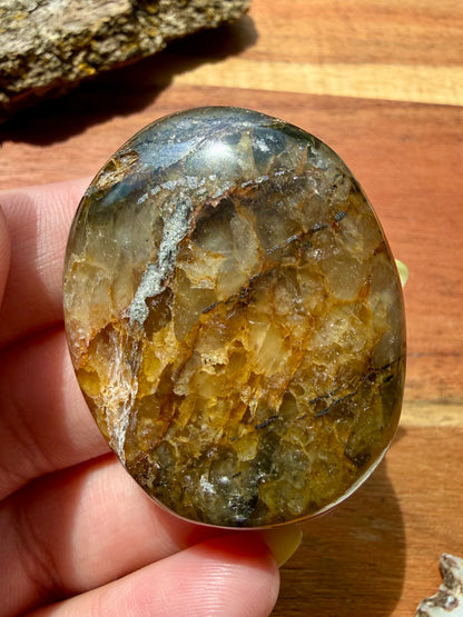 PYRITE + GOLDEN HEALER PALM STONE