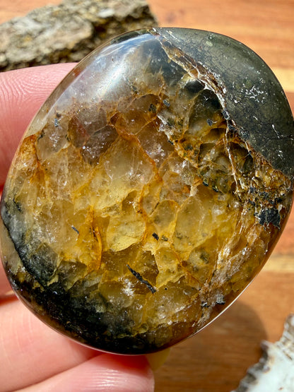 PYRITE + GOLDEN HEALER PALM STONE