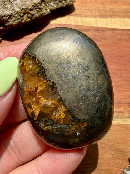 PYRITE + GOLDEN HEALER PALM STONE