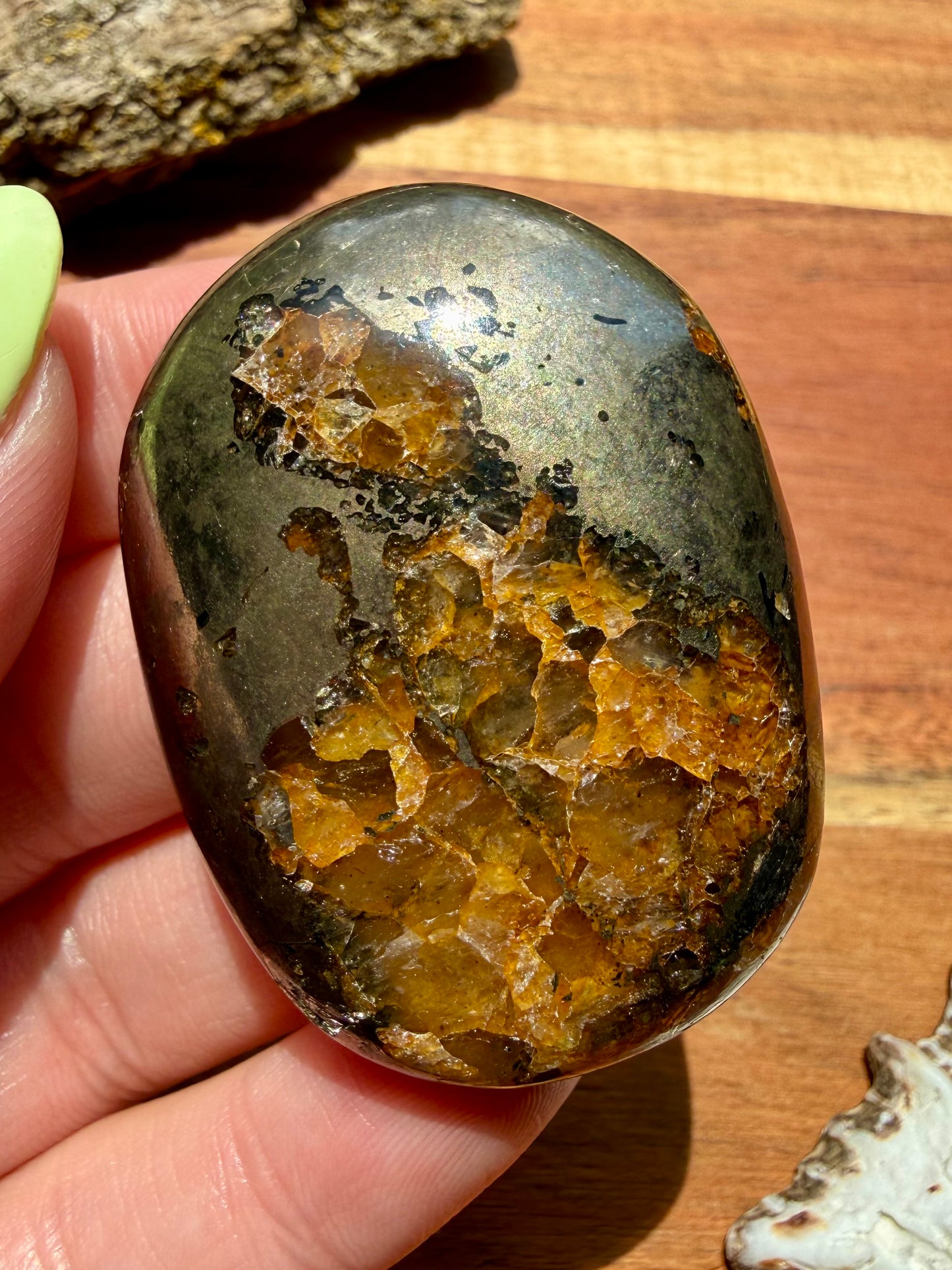 PYRITE + GOLDEN HEALER PALM STONE