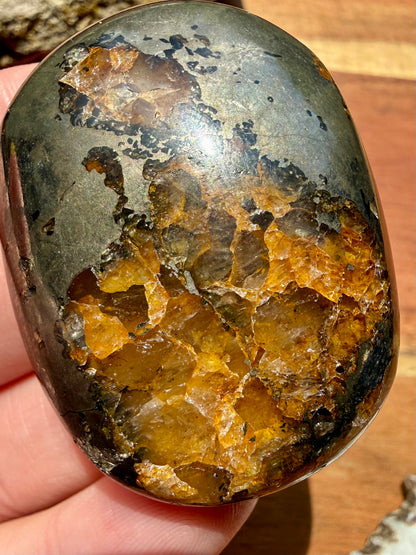 PYRITE + GOLDEN HEALER PALM STONE