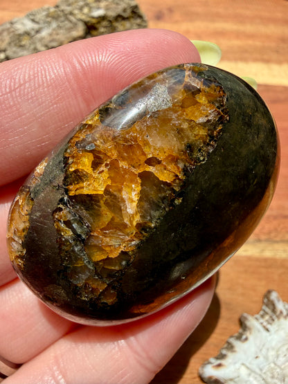 PYRITE + GOLDEN HEALER PALM STONE
