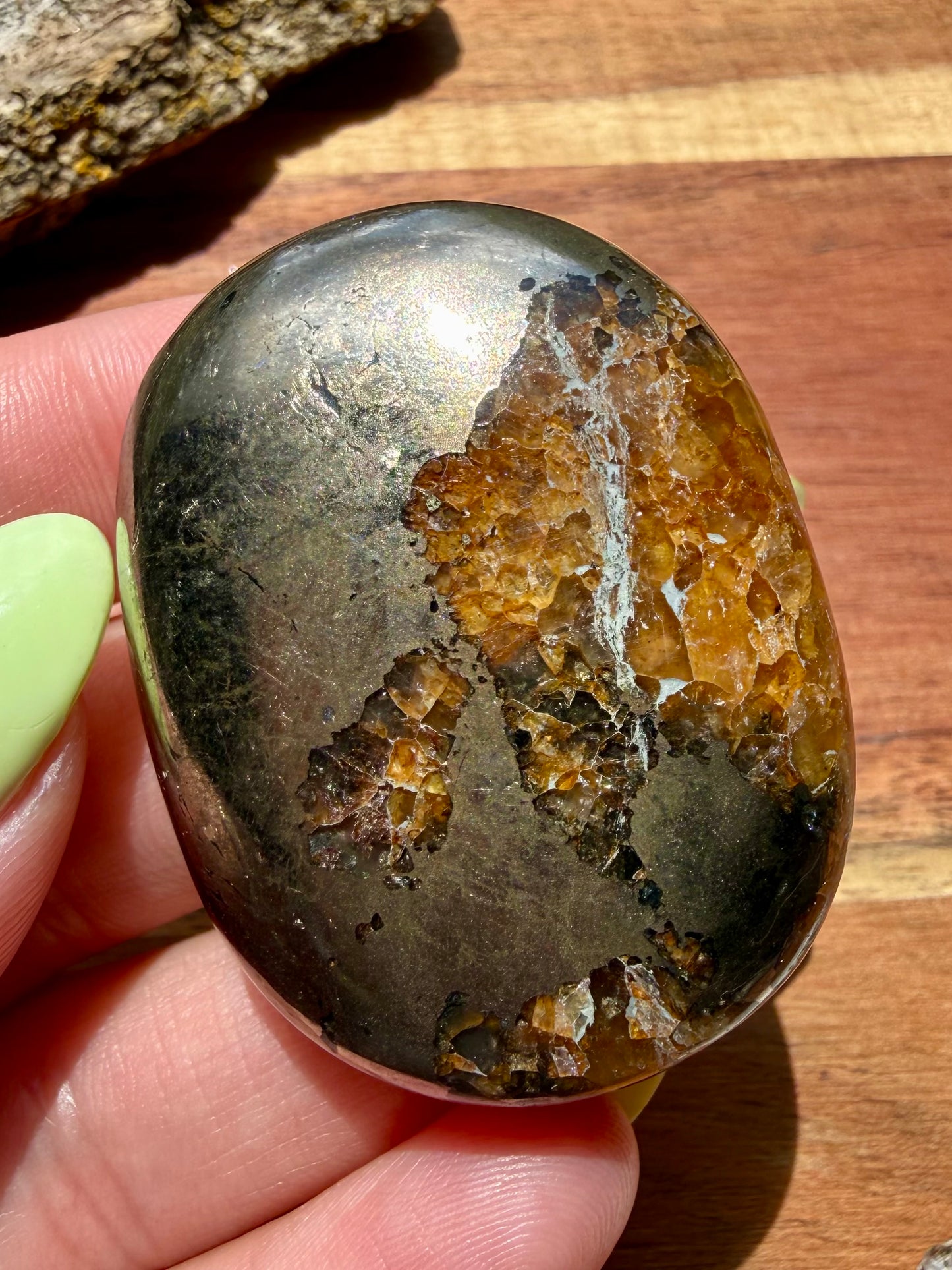 PYRITE + GOLDEN HEALER PALM STONE
