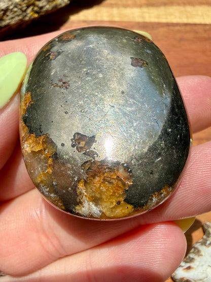 PYRITE + GOLDEN HEALER PALM STONE