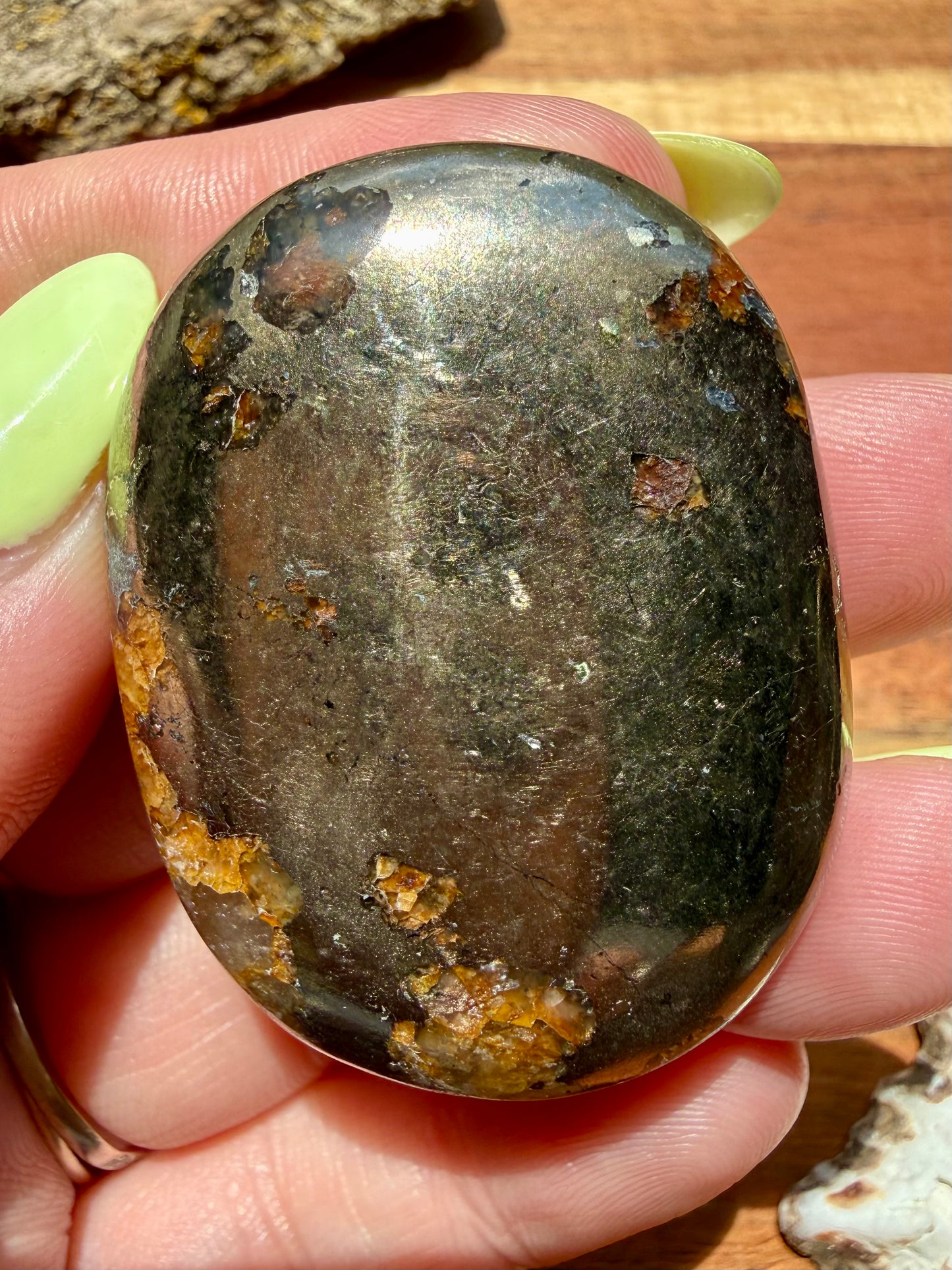 PYRITE + GOLDEN HEALER PALM STONE